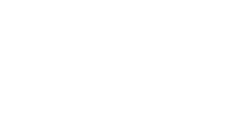 Factor ORG - Factor Organizacional